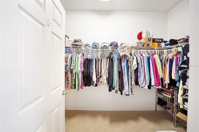 walk in closet with carpet floors