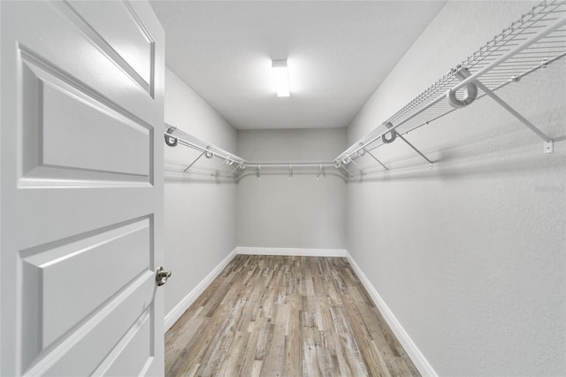 spacious closet featuring light hardwood / wood-style floors