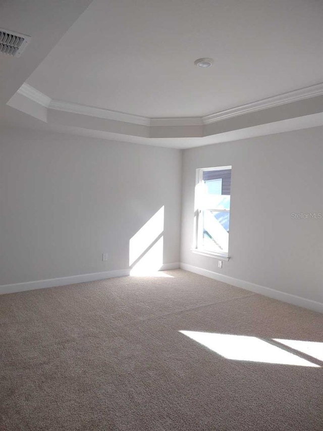 spare room featuring a raised ceiling, carpet floors, and ornamental molding