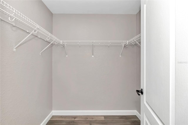 spacious closet featuring hardwood / wood-style floors