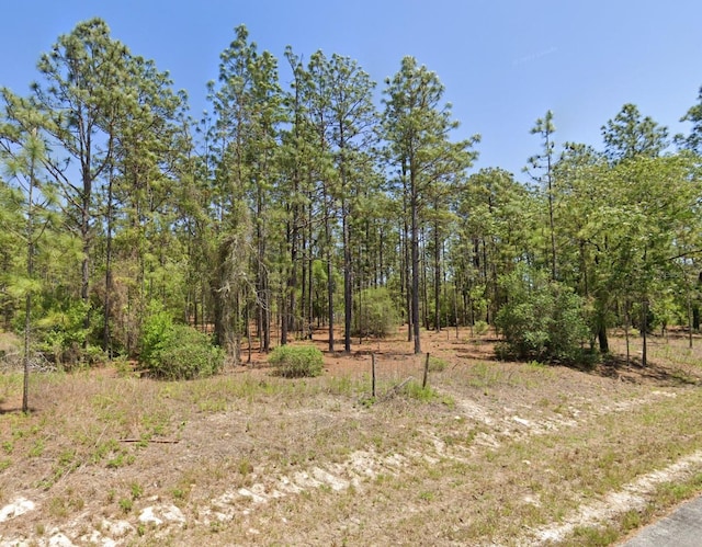 LOT8 SW 209th Ave, Dunnellon FL, 34431 land for sale