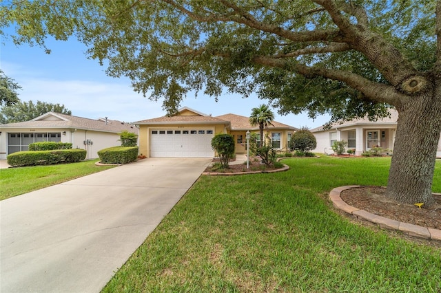 ranch-style house featuring a garage and a front lawn