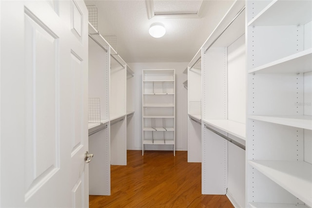 spacious closet featuring hardwood / wood-style floors