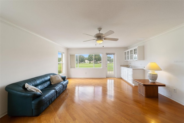 living room featuring ceiling fan, ornamental molding, sink, and light hardwood / wood-style flooring