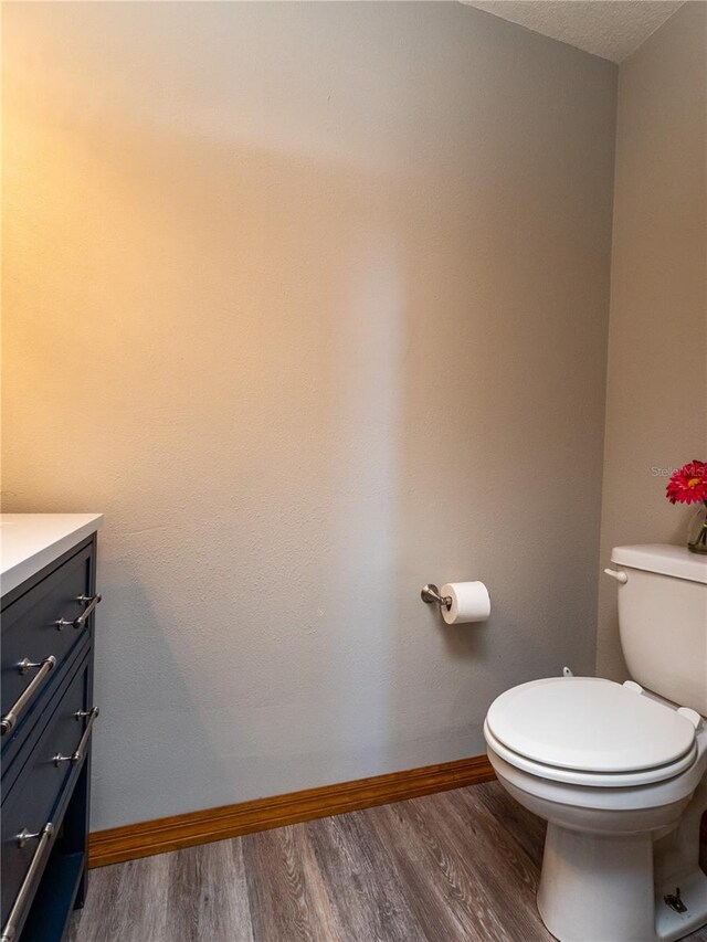 bathroom with vanity, toilet, and hardwood / wood-style flooring