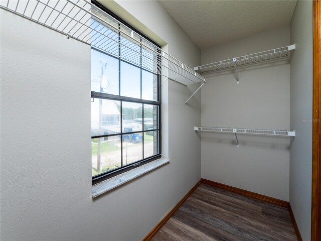 spacious closet featuring hardwood / wood-style floors