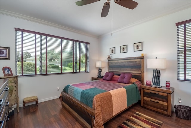 bedroom with ceiling fan, dark wood-type flooring, and multiple windows