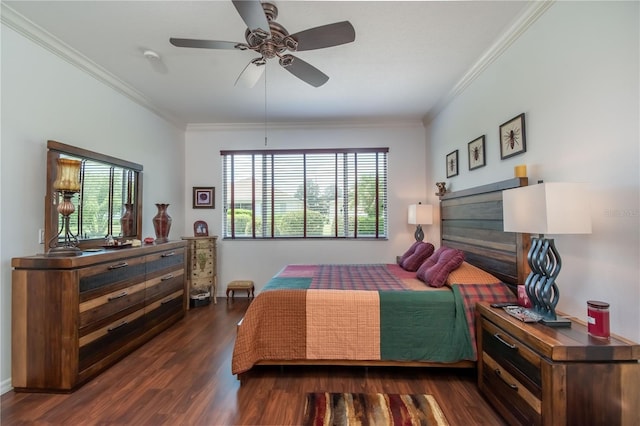 bedroom with ceiling fan, multiple windows, dark hardwood / wood-style flooring, and ornamental molding