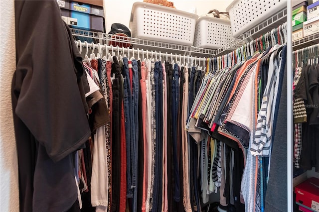 view of walk in closet