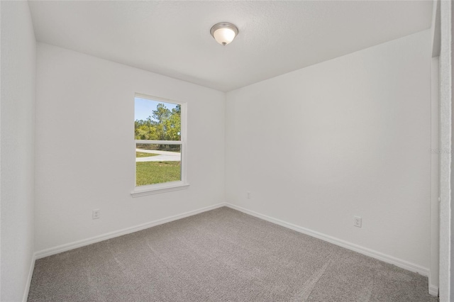 spare room featuring carpet flooring