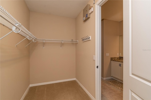 walk in closet featuring light colored carpet