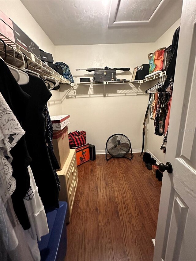 walk in closet with dark hardwood / wood-style flooring