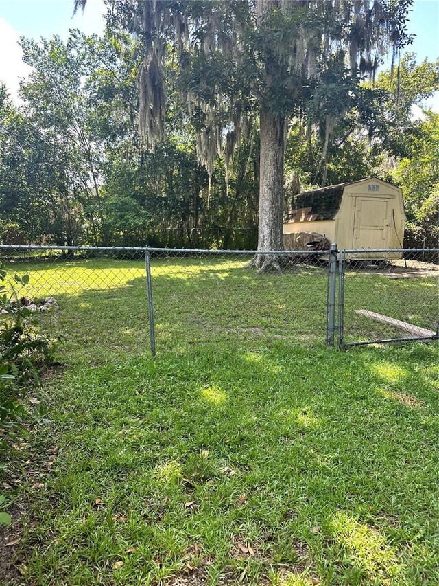 view of yard with a shed