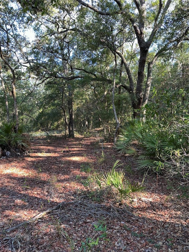 TBD NE 75th St, Bronson FL, 32621 land for sale