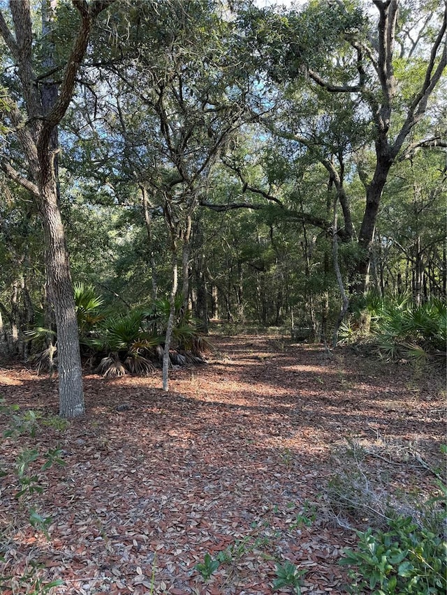 Listing photo 3 for TBD NE 75th St, Bronson FL 32621