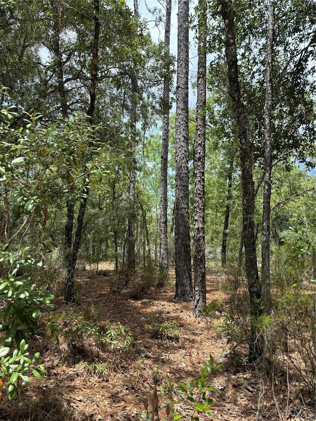 001 NE 110th Ave, Williston FL, 32696 land for sale