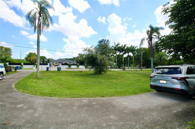 view of home's community with a lawn