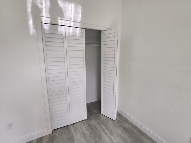 interior space featuring wood-type flooring and a closet