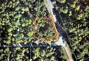 TBD Malauka Pass Run, Ocklawaha FL, 32179 land for sale