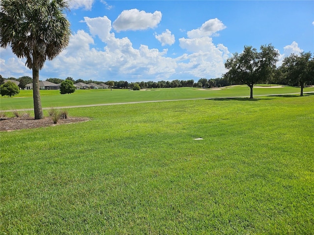 view of community featuring a yard