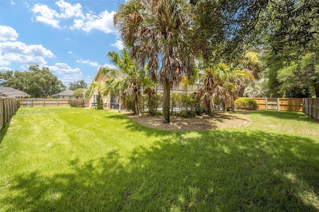 view of yard with a fenced backyard