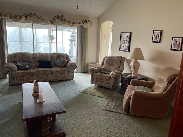 carpeted living room with a textured ceiling and lofted ceiling