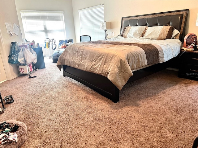 bedroom with carpet floors