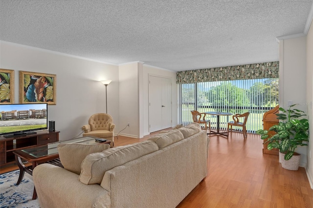 living room featuring light wood-type flooring, ornamental molding, and a textured ceiling