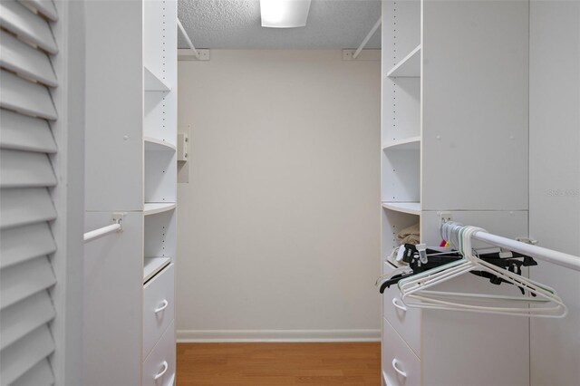 walk in closet with light hardwood / wood-style floors