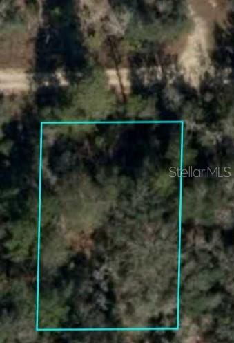 NE 64th Pl, Williston, FL 32696