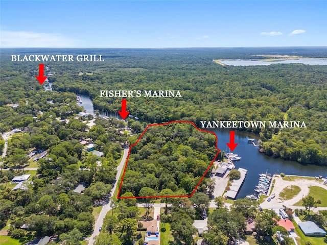 0 Hickory Ave, Yankeetown FL, 34498 land for sale