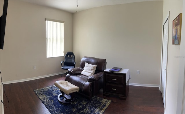 sitting room featuring dark wood-type flooring