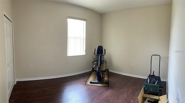 workout area featuring dark hardwood / wood-style floors