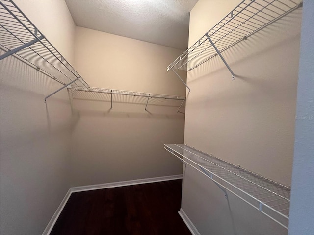 spacious closet featuring dark wood finished floors
