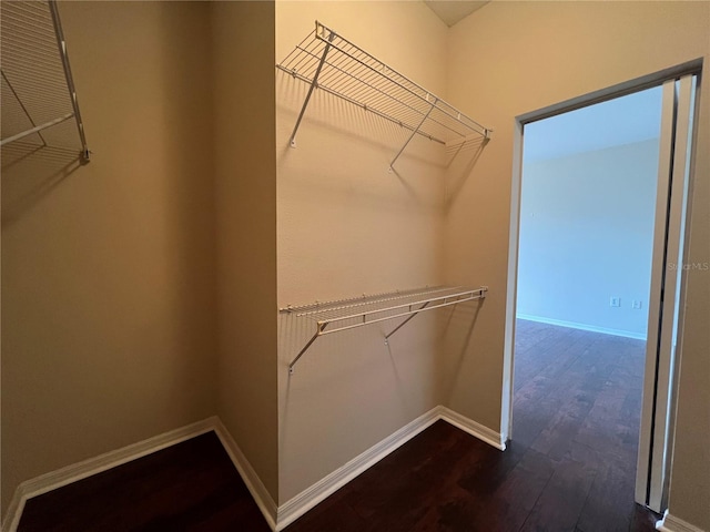 walk in closet with dark wood-style flooring