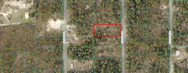 00 SW Fig Tree Ln, Dunnellon FL, 34431 land for sale