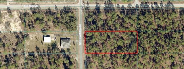 00 SW Deerpark Heights Rd, Dunnellon FL, 34431 land for sale