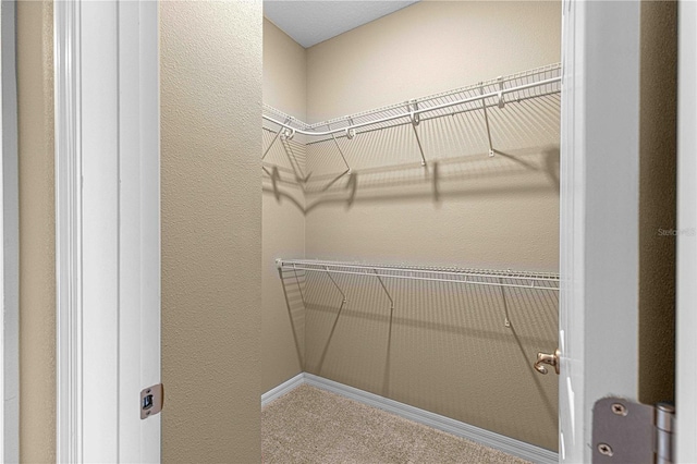 walk in closet featuring carpet