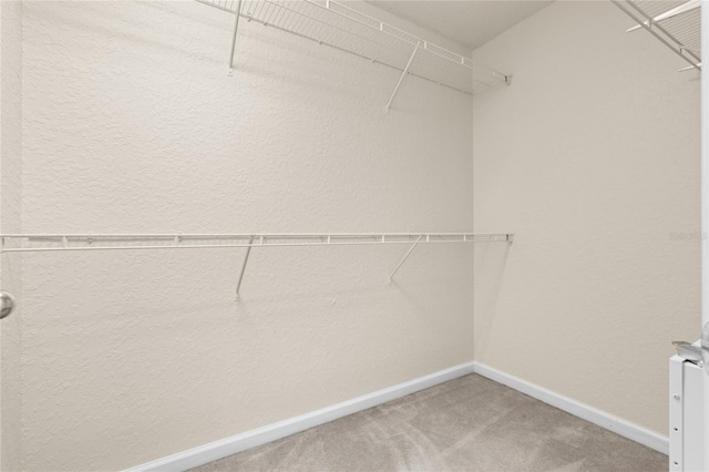 spacious closet with carpet flooring