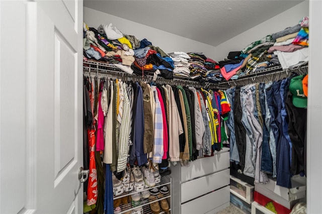 view of spacious closet