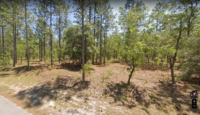 NW Columbine Ave, Dunnellon FL, 34431 land for sale