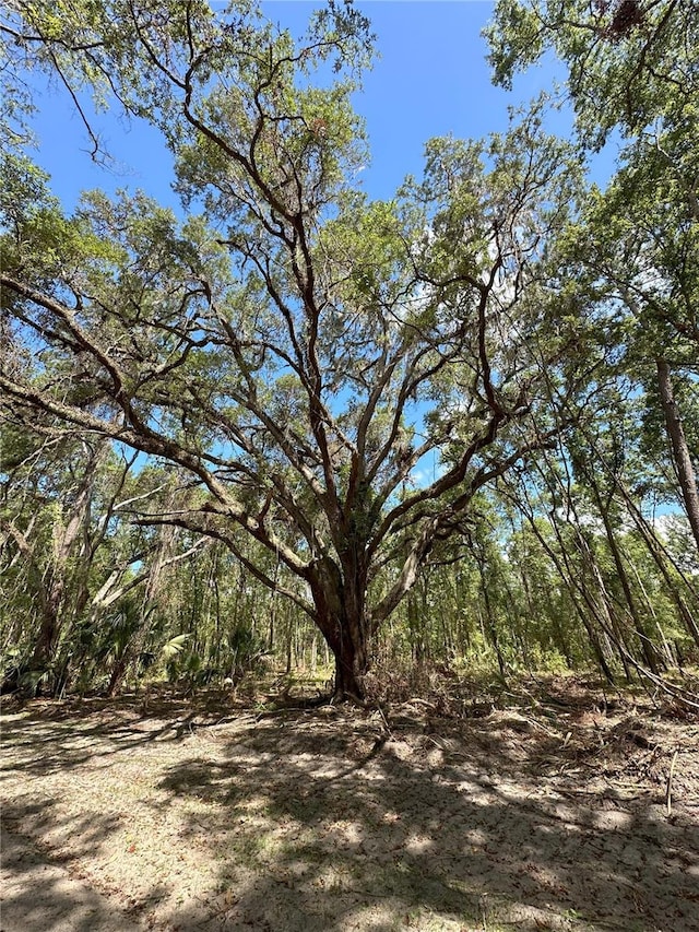 Listing photo 2 for 225AC NW 193rd St, Reddick FL 32686