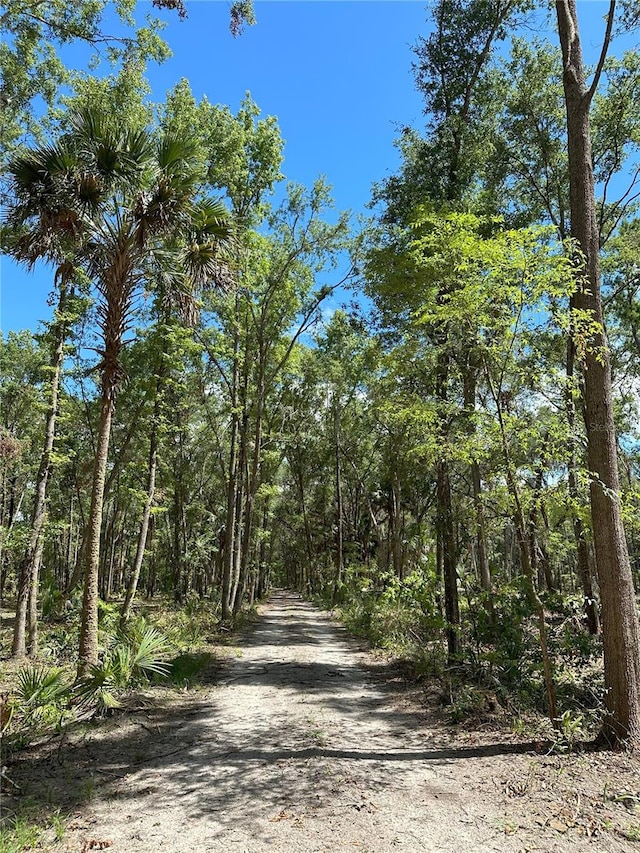 125AC NW 193rd St, Micanopy FL, 32667 land for sale