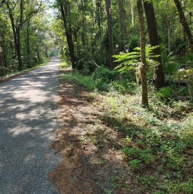 TBD NW 200th St, Micanopy FL, 32667 land for sale