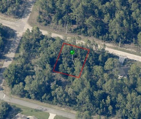 8884 N Vienna Dr, Dunnellon FL, 34433 land for sale