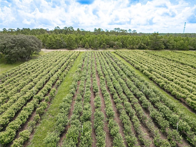 drone / aerial view with a rural view