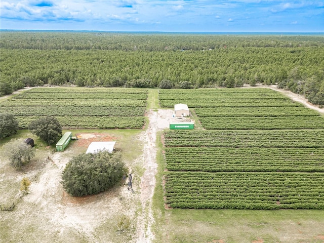 birds eye view of property with a rural view