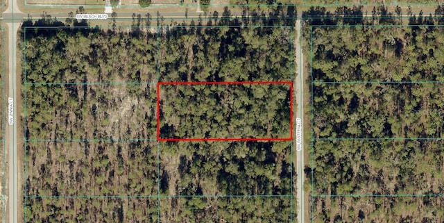 TBDLOT2 SW Wisteria Ct, Dunnellon FL, 34431 land for sale