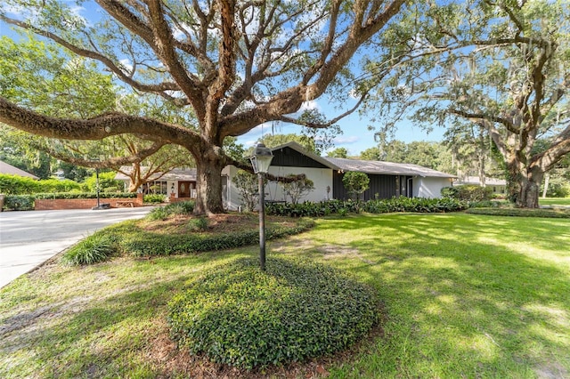 ranch-style house featuring driveway and a front yard