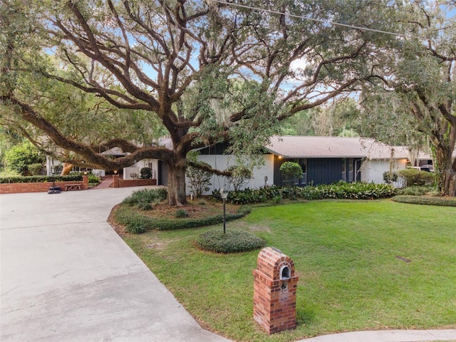 view of front of home featuring driveway and a front yard